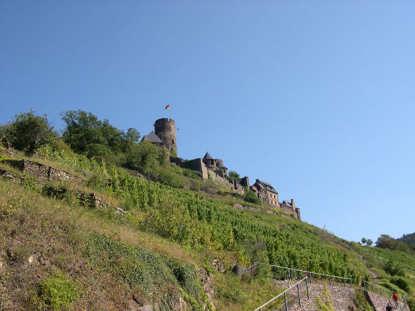 Burg_Thurant1