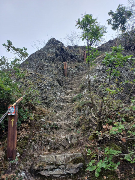 Eselsleiter bei Brohl