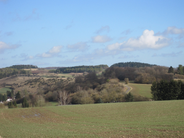 NSG bei GönnersdorfFoto: Ute Klinkhammer / Tourist-Information Gerolsteiner Land, CC BY-SA, Touristik GmbH Gerolsteiner Land