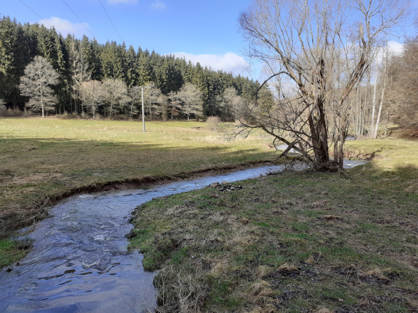 Nohner BachtalQuelle: Ute Klinkhammer / Tourist-Information Gerolsteiner Land, CC BY-SA, Touristik GmbH Gerolsteiner Land