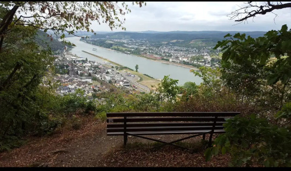 Rheinblick